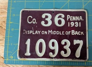 ANTIKER ORIGINAL 1931 PA Jagdschein Lancaster County Pennsylvania - Bild 1 von 2