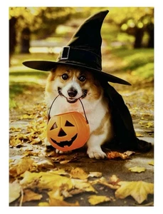 Halloween Card, Cute Corgi Witch Costume, Dog Avanti Greeting Card NEW - Picture 1 of 7