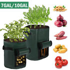 1/3 Packs 7/10 Gallon Plant Grow Bags Pe Pot Nursery Soil With Handle Us