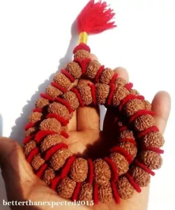 7 Mukhi Rudraksha / 7 Face Rudraksh Mala / Mahalaxmi Mala -54 Beads- Certified - Picture 1 of 4