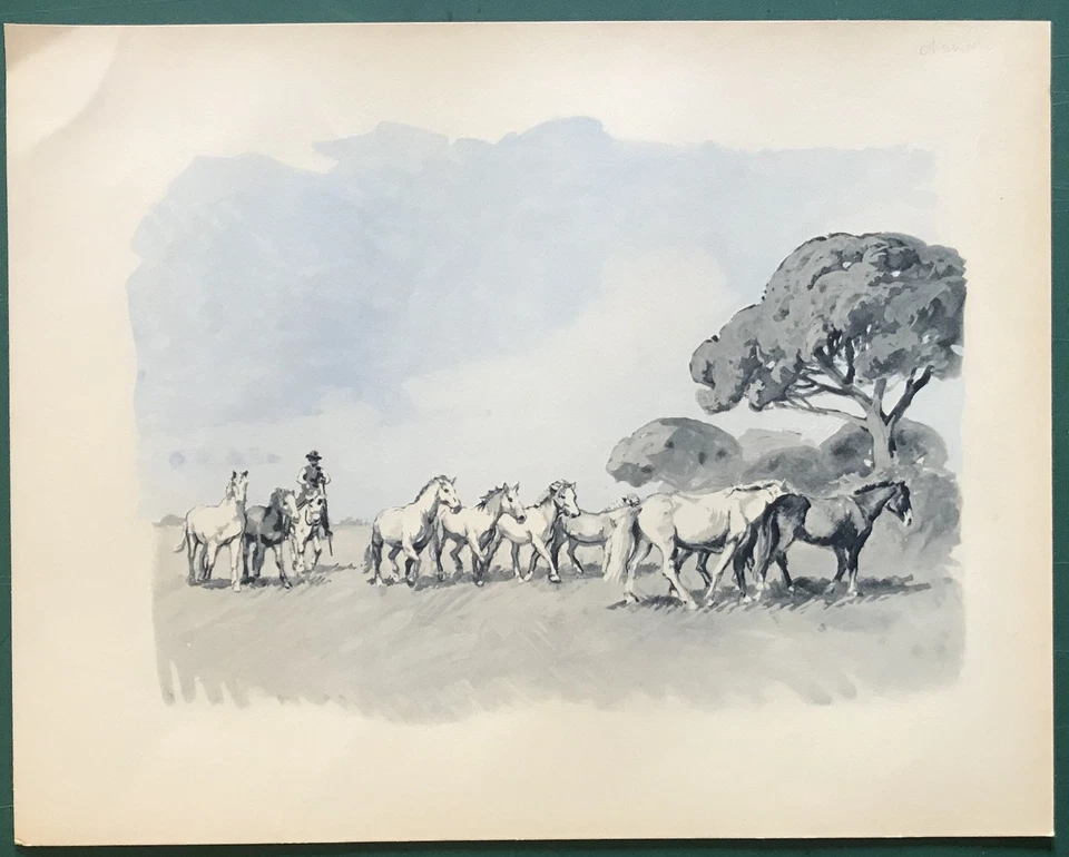 Illustration en couleurs : "Chevaux en Camargue" (vers 1940) PROVENCE - Photo 1/1