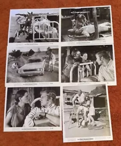STRANGE VENGEANCE OF ROSALIE Orig Film Foto BONNIE BEDELIA KEN HOWARD 1972 - Foto 1 di 7