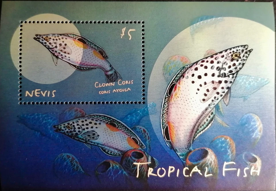 NEVIS 2000   -  HB PECES . - Imagen 1 de 1