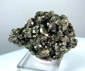 CHALCOPYRITE BRILLIANT CRYSTALS on MATRIX from PERÚ.........FAMOUS HUANZALA MINE - Bild 1 von 14
