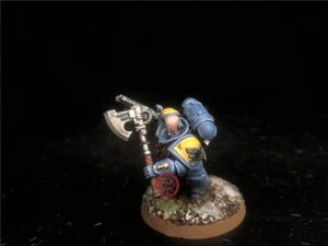 Warhammer 40K DPS painted Space Wolves Primaris Lieutenant SK4157 - Picture 1 of 6