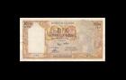 1961 French Algeria 10 Nouveaux Francs Africa ~Rare~ **535** (( Ef ))