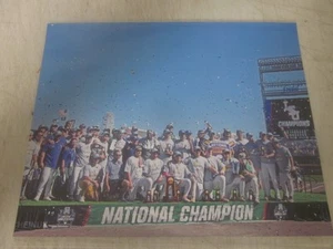 FOTO DEL EQUIPO NACIONAL CAMPEONES LSU TIGERS 2025 CWS OMAHA NO FIRMADA 🐯🏆 - Imagen 1 de 1