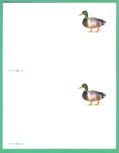 2021 Mallard stamped Postal Card Sc UX648 UNCUT PAIR from full press sheet - Picture 1 of 1