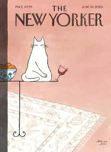 THE NEW YORKER MAGAZINE Jun 16th 2025 Nothing to See NEW & No Labels - Picture 1 of 1