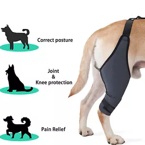 Dog Knee Brace Breathable Supportive Reduce Pain Joint Protection Dog Hind Legs - Picture 1 of 30