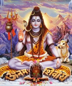KrishnaCulture Om Namo Shivaya CV36 Canvas Art 10x12" - Picture 1 of 1