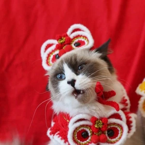 Katzenprodukte Katzenkostüm Bekleidung Und Accessoires Kostüme^ - Bild 1 von 13
