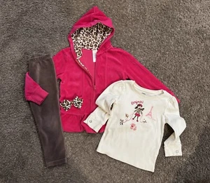 Gymboree Vintage Parisian Chic Pink Leopard Hoodie Top Leggings Lot of 3 Sz 4/6 - Picture 1 of 10