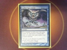 Gather Specimens - Shards of Alara - Magic the Gathering - MTG