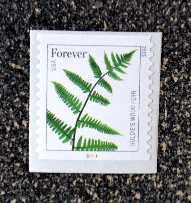 2015USA #4975a Forever Ferns - Goldie's Wood PNC Coil Single #S1111 (2015 date) - Image 1 of 1