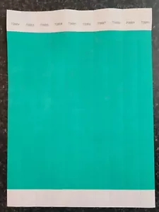 100 3/4" PANTONE GRÜN TYVEK ARMBÄNDER, ARMBÄNDER FÜR VERANSTALTUNGEN, PAPIERARMBÄNDER - Bild 1 von 1