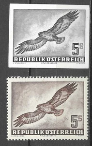 Germany Birds of Prey Raptors Buzzard Imperf Black Proof Essay ** 1950 + 600€ - Picture 1 of 8
