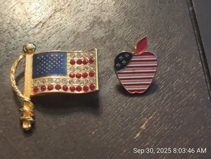 AMERICAN FLAG PINS (2) - Picture 1 of 3