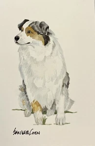 Australian Shepherd Original Watercolor Painting  by Sandra Coen Sitting - Picture 1 of 1