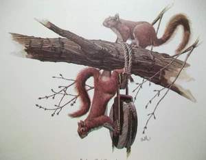 Litografía mate de ardilla roja oriental vintage Don Balke impresión artística de vida silvestre EE. UU. - Imagen 1 de 7