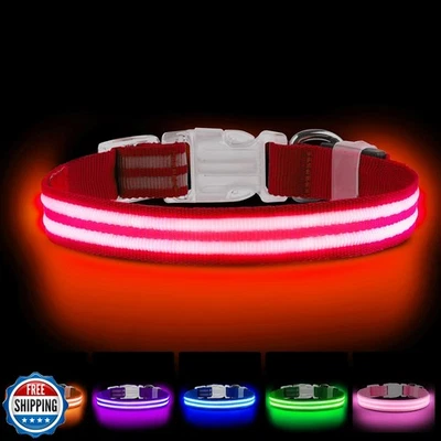 Collar LED para Perros, Collar de Perro con Luz USB Recargable, Perro Brillante Ajustable  Foto 1 de 4
