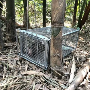 Large Live Humane Cage Trap for Squirrel Chipmunk Rat Mice Rodent Animal Catcher - Picture 1 of 12