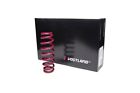 Vogtland springs for Ford Focus, type DYB, tournament, 1.6, 2.0, 1.6 diesel, MP to 1