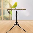 Parrot Perch Bird Stand Wood Height Adjustable For Macaws Pet Bird Lovebirds