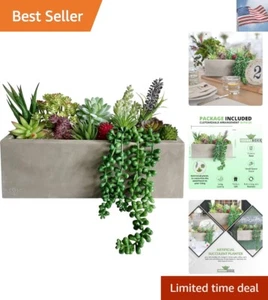 Tropical Artificial Succulent Plants Potted - Faux Succulents Wall Decoration... - Picture 1 of 10