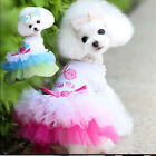 Apparel Small Dog Cat Dress Princess Dress Cotton Lace Tutu Skirt Pet Clothes