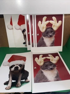 3 "Freude an der Welt" Karten mit Hund & 5 Katzenhumor Weihnachtskostüm Karten alle Altersgruppen - Bild 1 von 15
