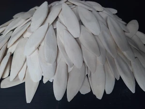 2 Kilo (2kg, 2000g) Sepiaschalen / 1A TOP Qualität - Vögel, Sepiaschale, Sepia - Bild 1 von 1