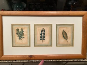 F. de Villeneuve Vintage gerahmte botanische Drucke X3 Blatt Sorte signiert mattiert - Bild 1 von 11