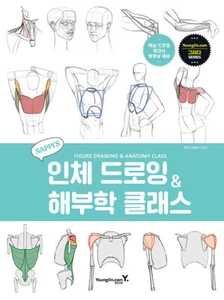 Sappi's Figure Drawing & Anatomy Class-Korean Drawing Guide 새삐의 인체 드로잉 & 해부학 클래스 - Picture 1 of 12