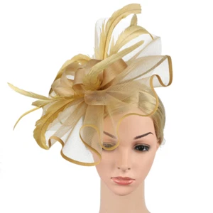 Women Fascinator Headband Fascinators Hat Church Wedding Royal Church Hair Clip - Picture 1 of 20