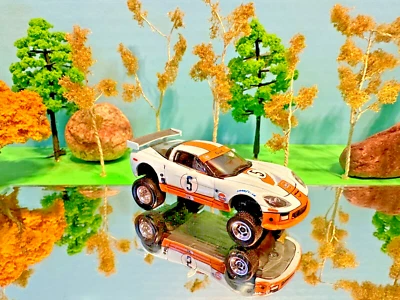 Corvette C6.R, 2009, Chevy, Greenlight, Custom G5 Lift HW Real Rider Mag Ruedas Foto 1 de 3