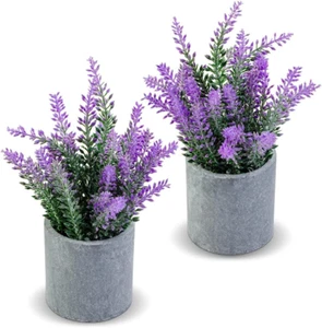 Artificial Lavender Plant in Pots - Faux Lavender Flowers Decor – Fake Flowers P - Picture 1 of 12