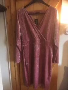 Ladies Size 18 Pink Velour Style Dress By Pink Clove Brand New - Picture 1 of 5
