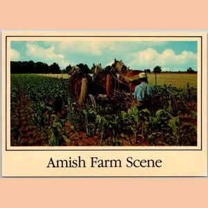 Postcard Amish Farm Scene Horse-Drawn Equipment Indiana Michigan - Picture 1 of 4