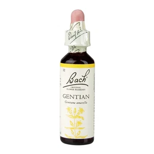 Bach Original Flower Remedies Gentian Gentiana Amarella 20ml - Picture 1 of 9