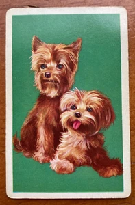 VINTAGE SINGLE SWAP CARD TERRIER CUCCIOLI CANI RE DEI DIAMANTI *SPEDIZIONE GRATUITA* - Foto 1 di 2