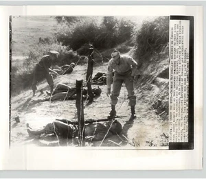 Foto de prensa de SOLDADOS nacionalistas chinos alambre de entrenamiento FORMOSA Taiwán 1955 - Imagen 1 de 2