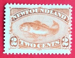 Canada Newfoundland #48 Codfish MNG - Picture 1 of 1