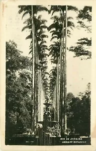 Rio De Janeiro Jardim Botanico RPPC hohe Palmen und Brunnen Brasilien Postkarte - Bild 1 von 2