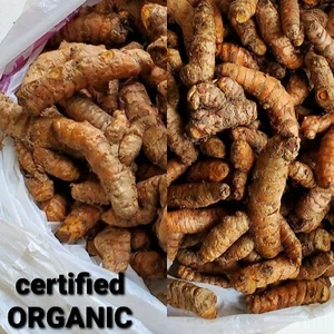 Fresh Turmeric Roots USDA certified Organic 8oz. for Arthritis,  FREE SHIPPING - Picture 1 of 6