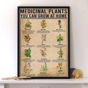 Medicinal Plants You Can Grow At Home Poster - Picture 1 of 3