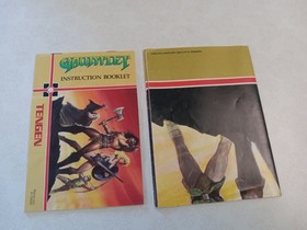 NES Gauntlet Manual and Poster Only Free Shipping!!