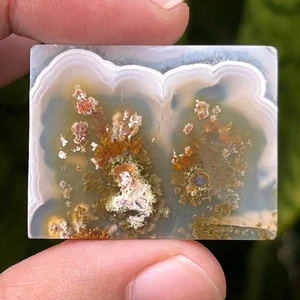 49,40 Ct Scenic Ternate Moosachat Orbicular 34x26x4 mm hochwertiger Moosachat - Bild 1 von 4