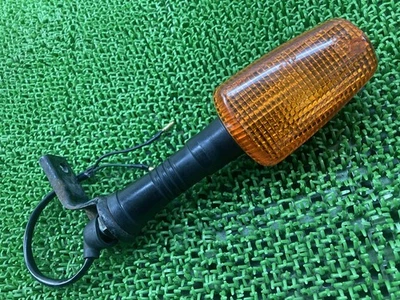 Señal de giro trasero derecho genuino Yamaha FJ1200 1142-377 pieza motocicleta, 4CC 3... Foto 1 de 4