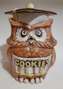 Barattolo Biscotti Gufo Saggio Laureato Dipinto A Mano Tesoro Artigianato Vintage Retrò 1960 1970 - Foto 1 di 7